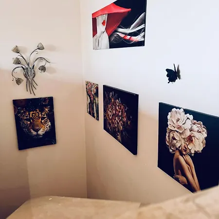 公寓 Casa Belvedere